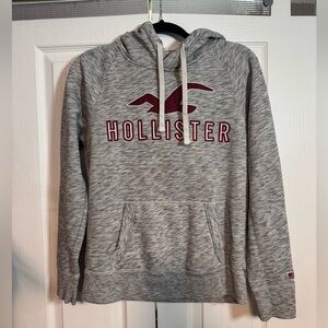 Hollister classic hoodie size small